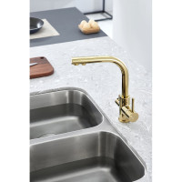 Смеситель для кухни Paulmark ESSEN золото Es213011-G