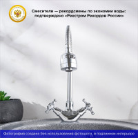 Смеситель для кухни РМС SL65-279F