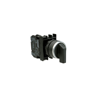 Переключатель EMAS серия B B101S31
