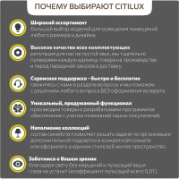 Накладной светильник Citilux Тао матовый хром LED 13Wх4000K CL712X121N