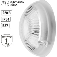 Светильник TDM ELECTRIC серии Интеллект, Сириус, НПП 03-100-010.02 SQ0322-0005