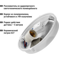Светильник TDM ELECTRIC серии Интеллект, Сириус, НПП 03-100-010.02 SQ0322-0005