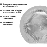 Светильник TDM ELECTRIC серии Интеллект, Сириус, НПП 03-100-010.02 SQ0322-0005