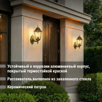 Светильник уличный шестигранник TDM ELECTRIC, 100Вт, вверх, бронза SQ0330-0016