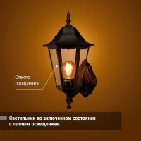 Светильник уличный шестигранник TDM ELECTRIC, 100Вт, вверх, бронза SQ0330-0016