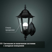 Светильник уличный шестигранник TDM ELECTRIC, 100Вт, вверх, бронза SQ0330-0016