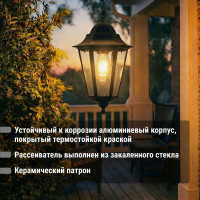 Светильник уличный шестигранник TDM ELECTRIC, 100Вт, подвес, черный SQ0330-0010