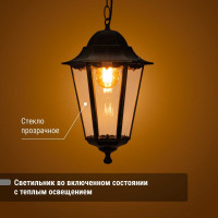 Светильник уличный шестигранник TDM ELECTRIC, 100Вт, подвес, черный SQ0330-0010