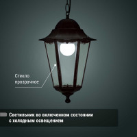 Светильник уличный шестигранник TDM ELECTRIC, 100Вт, подвес, черный SQ0330-0010
