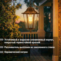 Светильник уличный шестигранник TDM ELECTRIC, 60Вт, подвес, бронза SQ0330-0015