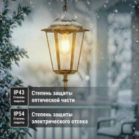 Светильник уличный шестигранник TDM ELECTRIC, 60Вт, подвес, бронза SQ0330-0015