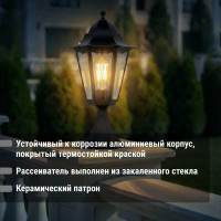 Светильник уличный шестигранник TDM ELECTRIC, 100Вт, стойка, черный SQ0330-0009