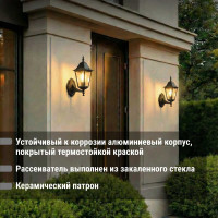 Светильник уличный шестигранник TDM ELECTRIC, 100Вт, вверх, черный SQ0330-0006