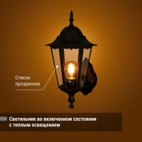 Светильник уличный шестигранник TDM ELECTRIC, 100Вт, вверх, черный SQ0330-0006