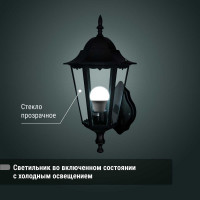 Светильник уличный шестигранник TDM ELECTRIC, 100Вт, вверх, черный SQ0330-0006