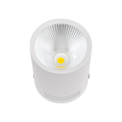 Потолочный светильник спот IMEX LED 1х10W Белый IL.0005.4015
