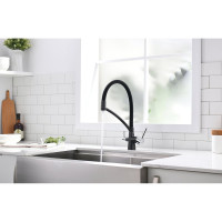 Смеситель для кухни Paulmark SIEGEN, черный,  Si213111-BLM