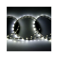 Лента светодиодная General Lighting Systems GLS-5050-60-14.4-12-IP20-PRO-6, 5 метров, 14,4Вт/м, 12В, SMD5050, 5мм, 60 диодов/м, 12Лм/чип, IP20, 6500К - холодный белый, 503420