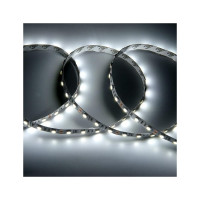 Лента светодиодная General Lighting Systems GLS-5050-60-14.4-12-IP20-PROL-6, 5 метров, 14,4Вт/м, 12В, SMD5050, 5мм, 60диодов/м, 22Лм/чип, IP20, 6500К - холодный белый, 503430