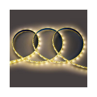 Лента светодиодная General Lighting Systems GLS-5050-60-14.4-12-IP65-3, 5 метров, 14,4Вт/м, 12В, SMD5050, 10мм, 60 диодов/м, 12Лм/чип, IP65, 3000К - теплый белый 5031