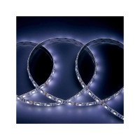 Лента светодиодная General Lighting Systems GLS-5050-60-14.4-12-IP65-PRO-6, 5 метров, 14,4Вт/м, 12В, SMD5050, 5мм, 60 диодов/м, 12 Лм/м, IP65, 6500К - холодный белый 503520