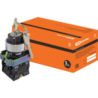 Переключатель TDM BG45 черный 2 положения с ключом 1з 1р SQ0703-0009
