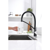 Смеситель для кухни Paulmark SIEGEN, черный,  Si213111-BLM