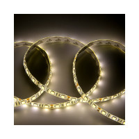 Лента светодиодная General Lighting Systems GLS-5050-60-14.4-12-IP65-3, 5 метров, 14,4Вт/м, 12В, SMD5050, 10мм, 60 диодов/м, 12Лм/чип, IP65, 3000К - теплый белый 5031