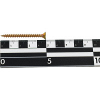 Саморез SWFS ШУЖ 4.5х50, 10 шт. тов-091898