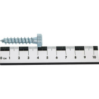 Сантехнический шуруп SWFS 8х40 мм, 2 шт. тов-092734