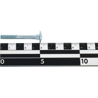 Болт SWFS DIN603 М6х50, 200 шт. тов-136736