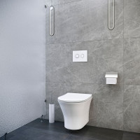 Подвесной унитаз Cerutti SPA BERNINA Aria 480х340х350, безободковый 7191