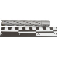 Сверло кольцевое (19х100 мм; TCT; Weldon 19) EUROBOOR HMX.190
