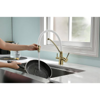 Смеситель для кухни Paulmark SIEGEN золото/белый Si213111-Gw