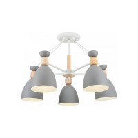 Потолочный светильник Freya Delia FR5033CL-05W