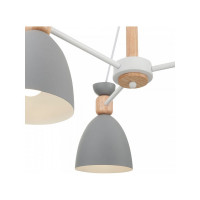 Потолочный светильник Freya Delia FR5033CL-05W