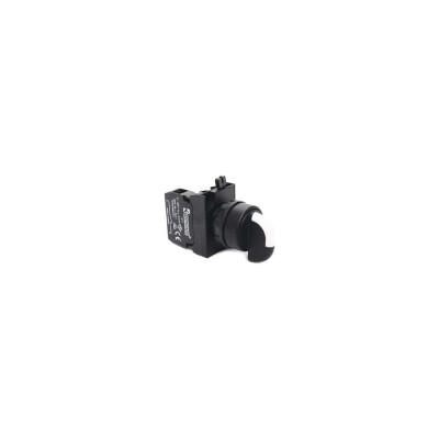 Переключатель EMAS CP170S20