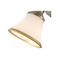Спот Freya Jasinta FR2272-WL-01-BS