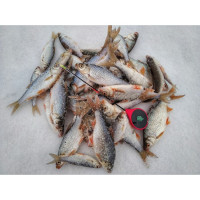 Зимняя удочка-балалайка SALMO HANDY ICE ROD, 24 см, красная 414-01