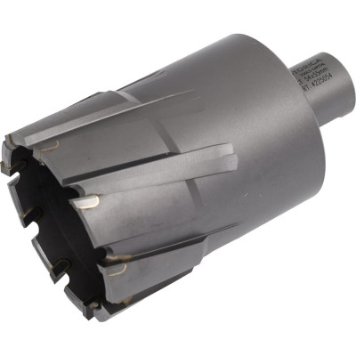 Фреза кольцевая TCT (54x55 мм; Weldon 19) ROTORICA RT.4225054