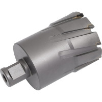 Фреза кольцевая TCT (54x55 мм; Weldon 19) ROTORICA RT.4225054