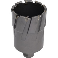 Фреза кольцевая TCT (54x55 мм; Weldon 19) ROTORICA RT.4225054