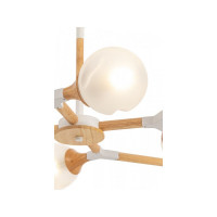 Потолочный светильник Freya Amy FR5105CL-06W