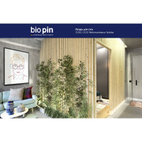 Лазурь для стен BIO PIN 2151 Wohnraumlasur СВЕТЛО-БЕЖЕВЫЙ 0.75 л 21511H201
