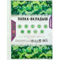 Файл-вкладыш Calligrata А4, 45 мкм, глянцевый, матовый, 100 шт 6534845