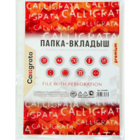 Вертикальный файл-вкладыш Calligrata А4, 60 мкм, глянцевый, плотный, 50 шт 6534847