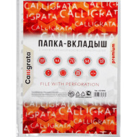 Файл-вкладыш Calligrata А4, 60 мкм, глянцевый, матовый, плотный, 100 шт 6534846