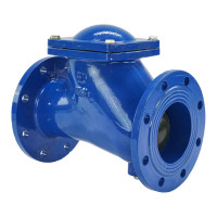 Клапан обратный шаровой DN.ru GGG50-GGG50-БНК-сп Ду100 Ру16 со сливной пробкой, чугунный D100-01579