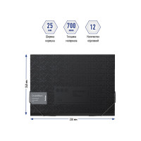 Папка BERLINGO DoubleBlack 12 отделений A4, 330х240х25 мм, 700 мкм, черная, c рисунком XF4_12701