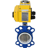 Затвор DN.ru WCB-316L-PTFE Ду65 Ру16 с электроприводом QT-008 380В D050-02409